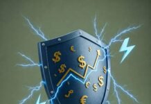 Wealth Shield Protecting from Financial Shocks