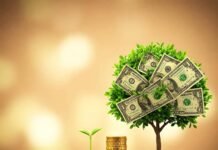 Build Wealth from Scratch: Your Step-by-Step Guide to Financial Freedom Money Tree Growth