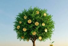 Long-Term Investing That Pays Off: Your Guide to Planning for the Big Picture Investing for Prosperity