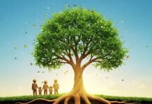Secure Their Tomorrow: Essential Legacy Planning Tips for Your Family’s Future Family Tree Legacy