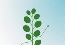 Stock Market Investing: Your No-Jargon Guide for Beginners Stock Growth for Beginners